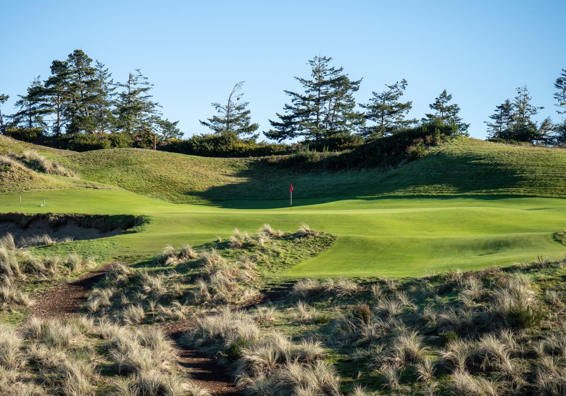 A green above the bluffs, the Pacific beyond
