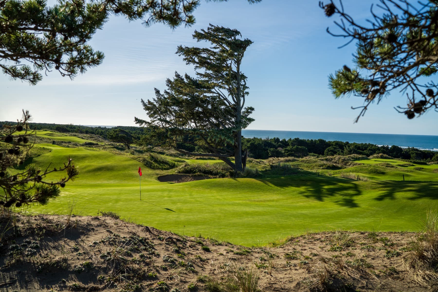Evening light over the short course's dunes