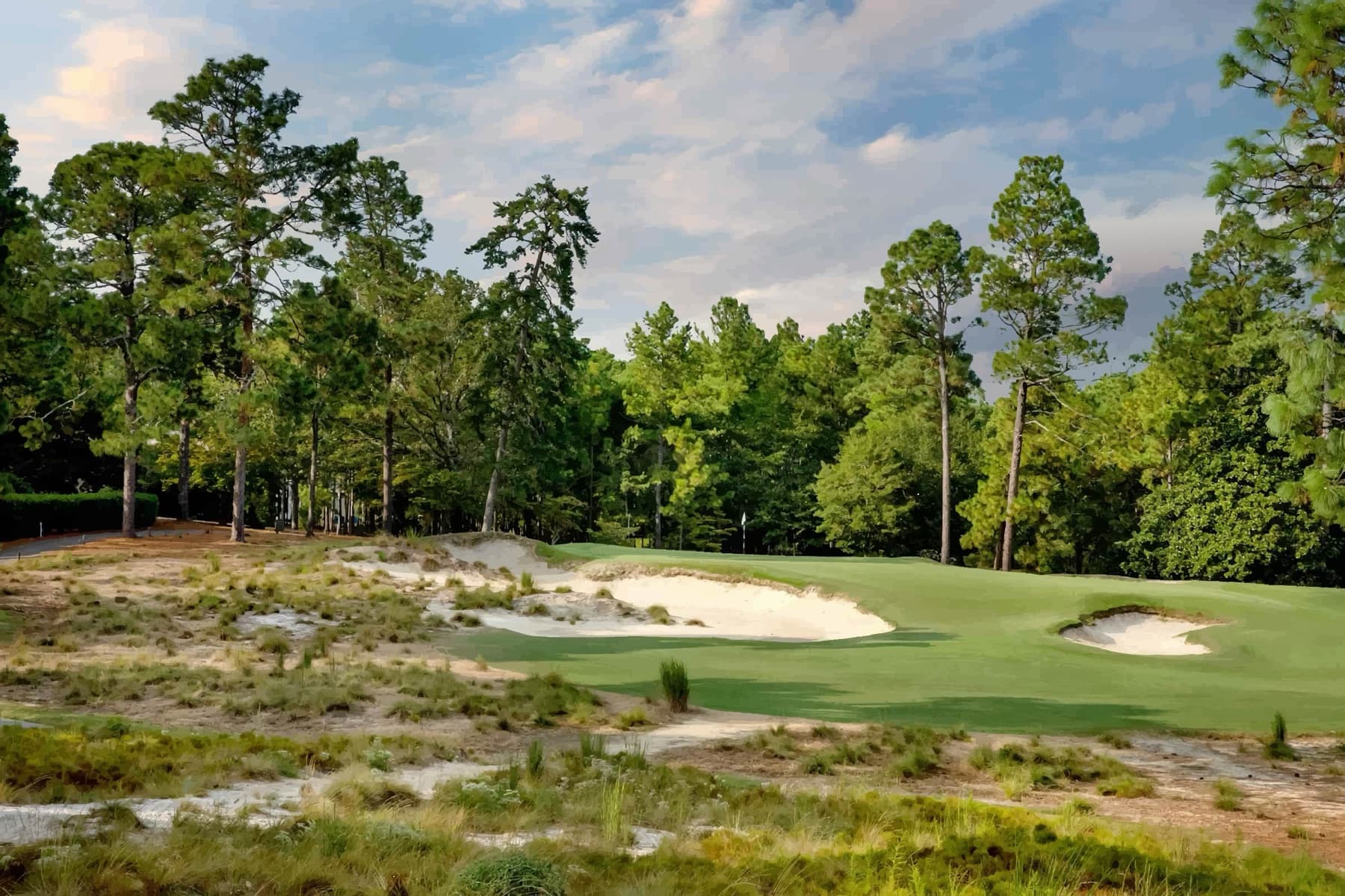 wiregrass, sand and a sliver of green—vintage No. 2