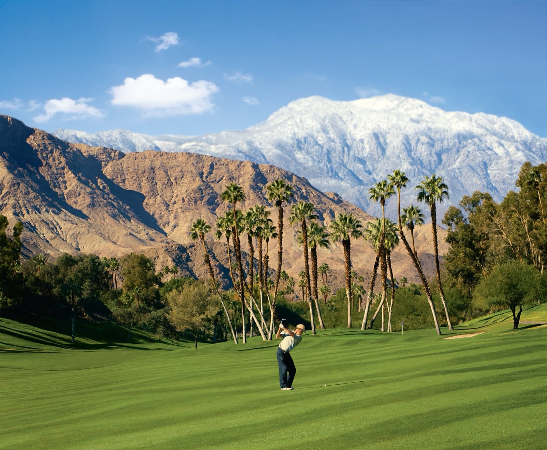 A golfer plays into the palms with the snow-capped San Jacintos behind at Rancho Las Palmas
