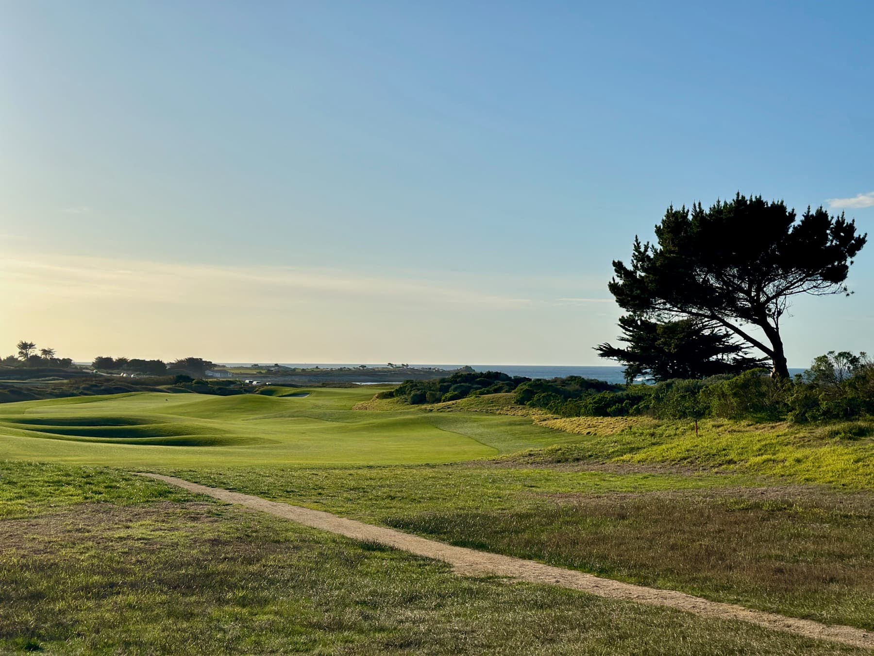 a Spanish Bay fairway winding through the links dunes to the Pacific, a lone Monterey cypress on the right
