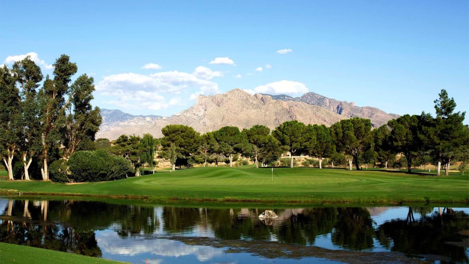 a lakeside green below the Catalinas on the Catalina