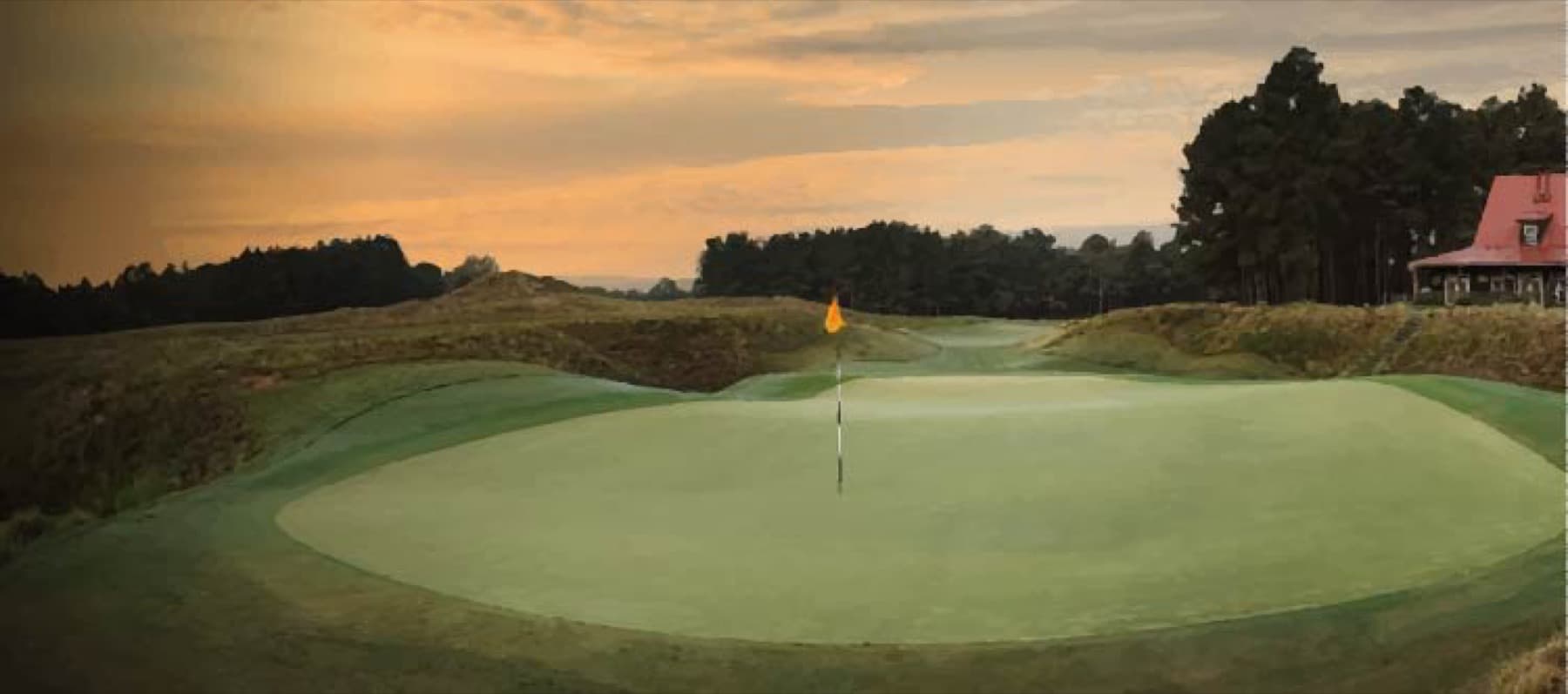 Carolina Sandhills