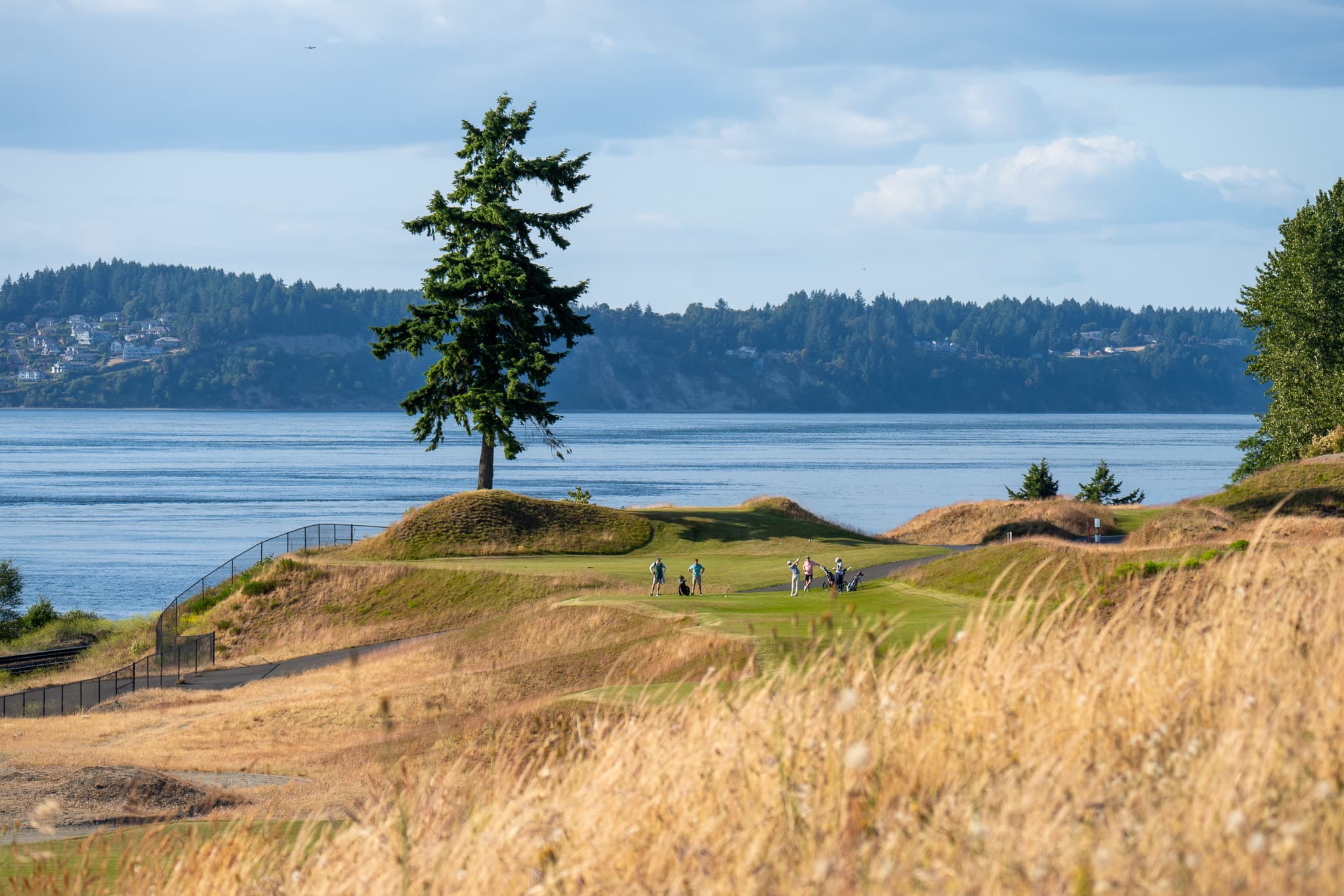 South Puget Sound