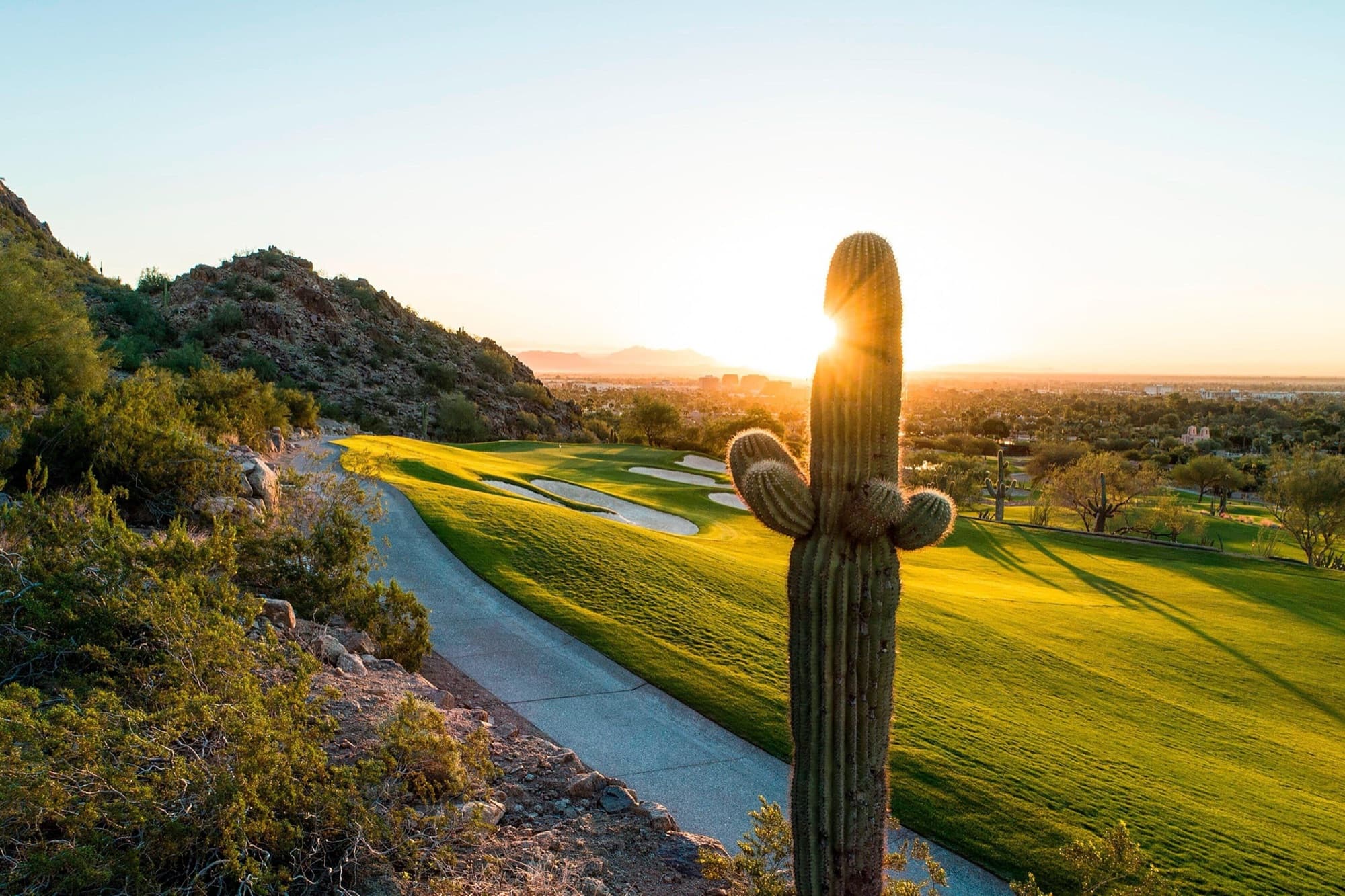 a saguaro over the fairways at sunset, the valley beyond